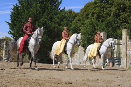 France, Loir et Cher (41), château de Chambord, spectacle d' Art équestre