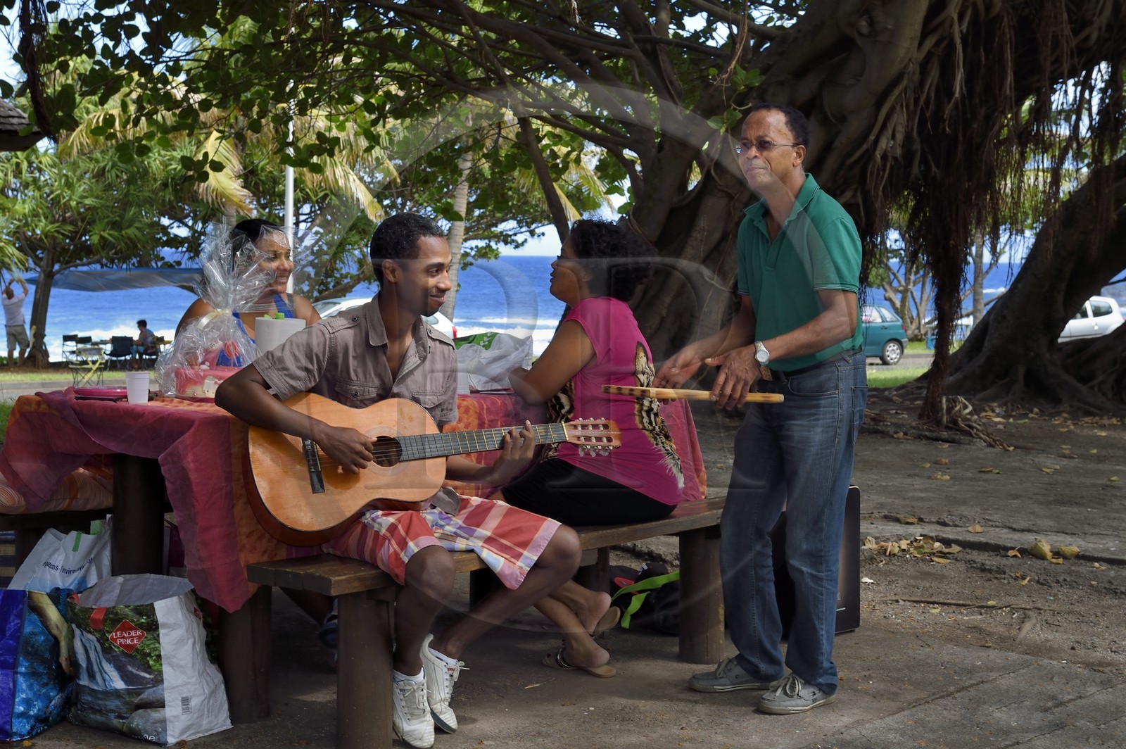 France, Ile de la Reunion, Grand Bois, pic-nic du dimanche sous les arbres