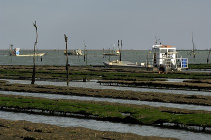 France, Charente-Maritime (17), le bassin Marrennes-Oléron au large de l'Ile d'Oléron, chaland dans les parcs à huîtres