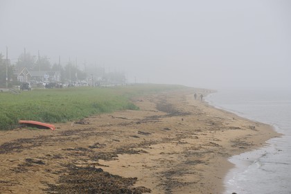 Canada, province du Québec, Saint Laurent, Côte Nord, la plage à Havre-Saint-Pierre dans le brouillard