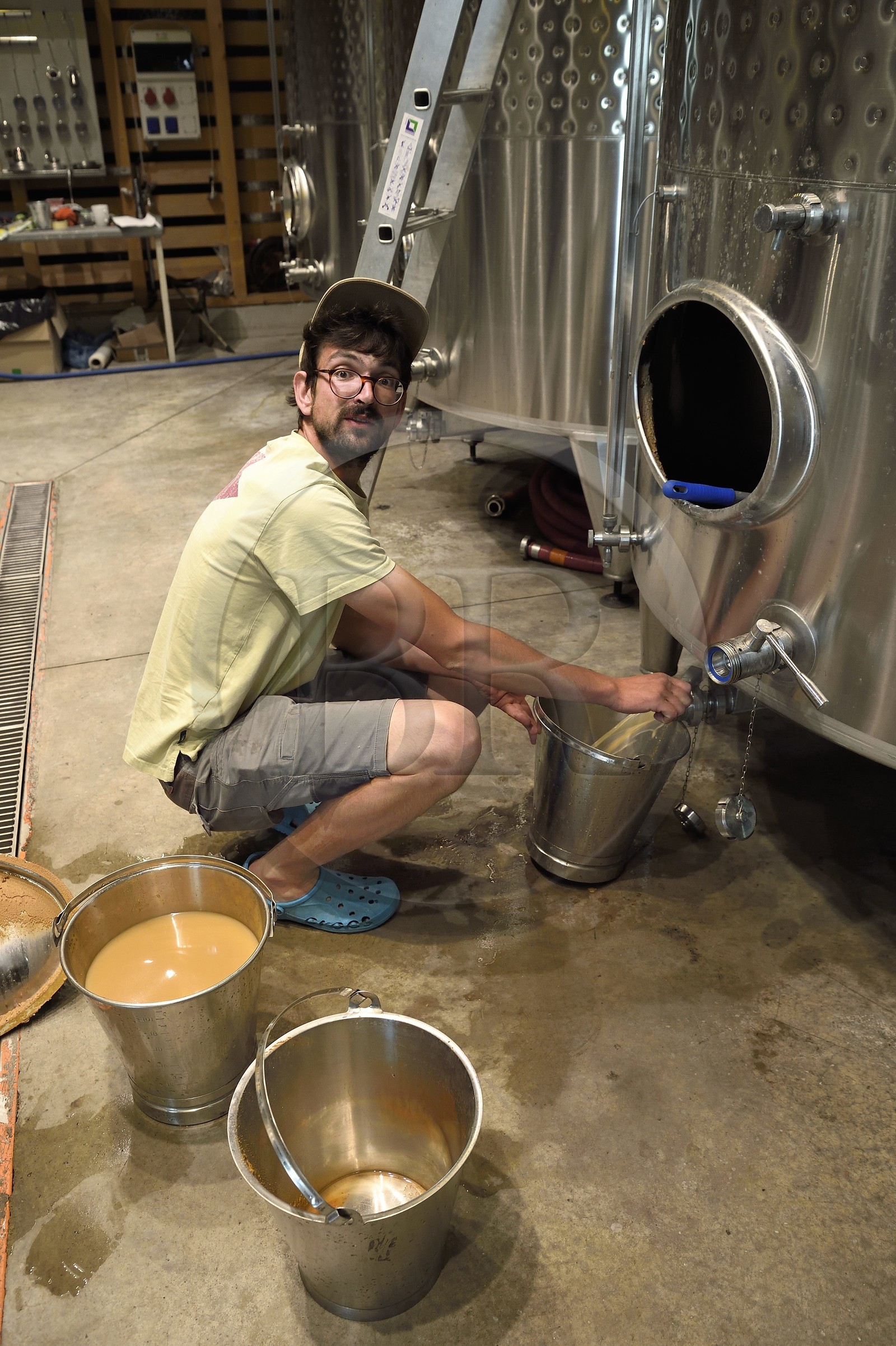 France, Bas Rhin, the Alsace Wine Route, Scherwiller, biodynamic wine estate Achillée in a building entirely of natural construction, Jean Dietrich made a racking of its tanks
