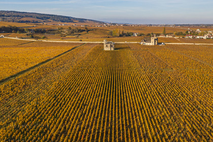 France, Cote d'Or, cultural Landscape of the climates of Burgundy listed as World Heritage by UNESCO, Vougeot, Route des Grands Crus (road of Vintage Wines), the vineyard of the Chateau du Clos de Vougeot, the chateau de la Tour (aerial view)