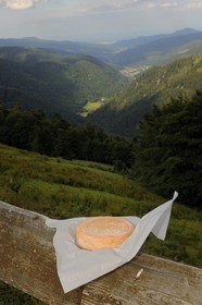 France, Haut-Rhin (68), la route des Crêtes vers Metzeral, ferme marcaire de Steinwasen, munster fermier