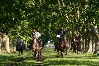 Argentina, Buenos Aires Province, San Antonio de Areco, group of gauchos on horseback under the trees of the driveway to the estancia La Bamba de Areco