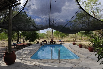 Tanzanie, Reserve de gibier de Selous une des plus grandes zones protégées au monde et inscrite sur la liste du patrimoine mondial de l’Unesco depuis 1982, la piscine du très exclusif Selous Camp