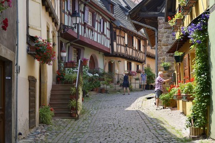 France, Haut Rhin, Eguisheim, labelled Les Plus Beaux Villages de France (The Most Beautiful Villages of France), traditional half-timbered houses in the South Rampart Street