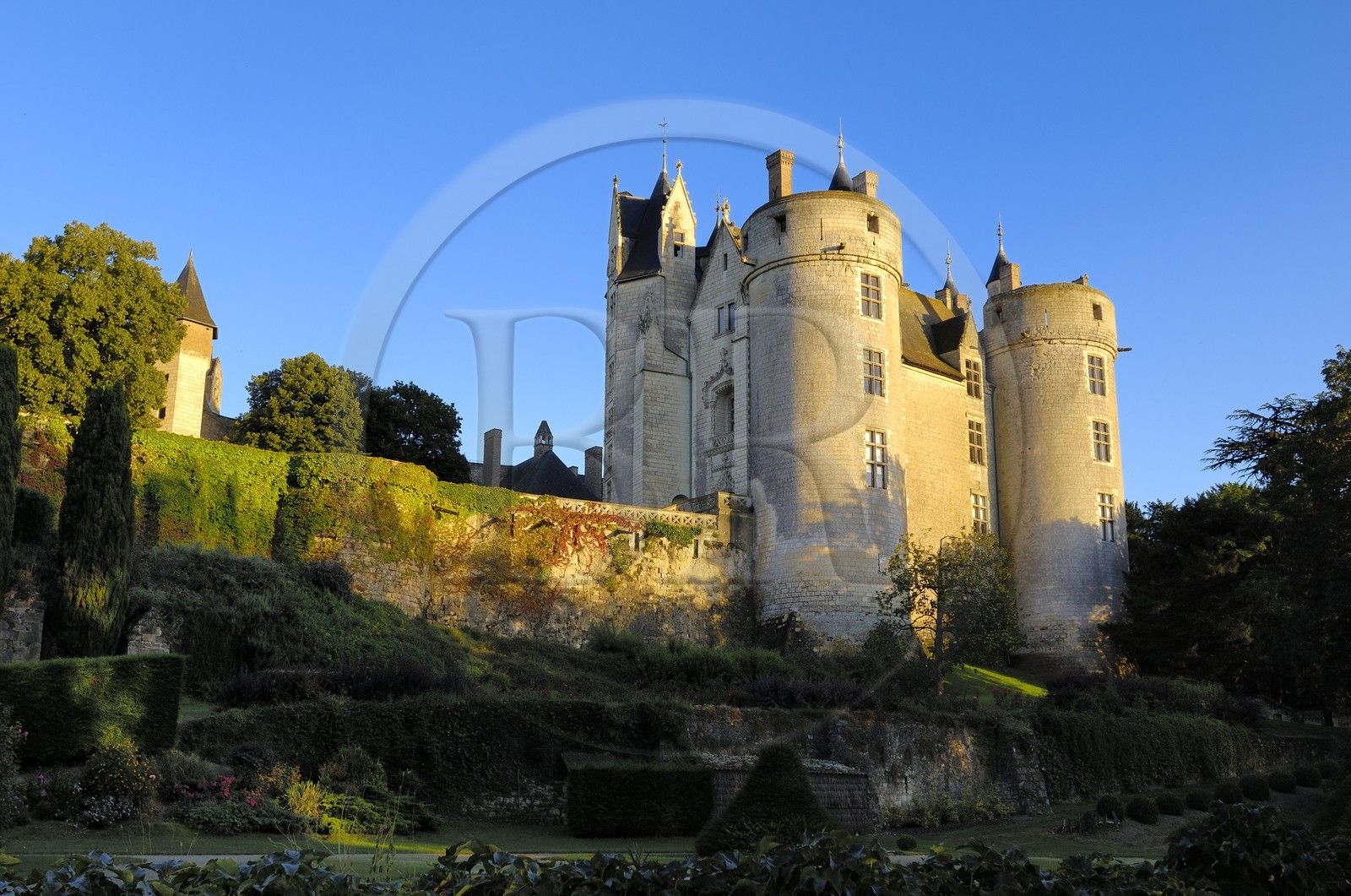 France, Maine et Loire (49), château de Montreuil-Bellay