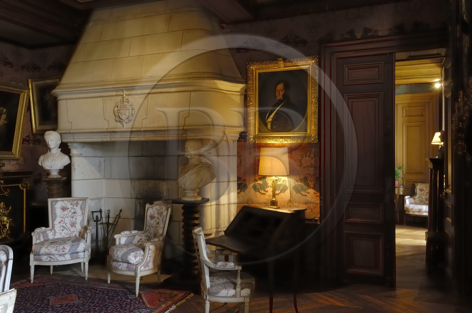 France, Indre-et-Loire (37), Montrésor, le château