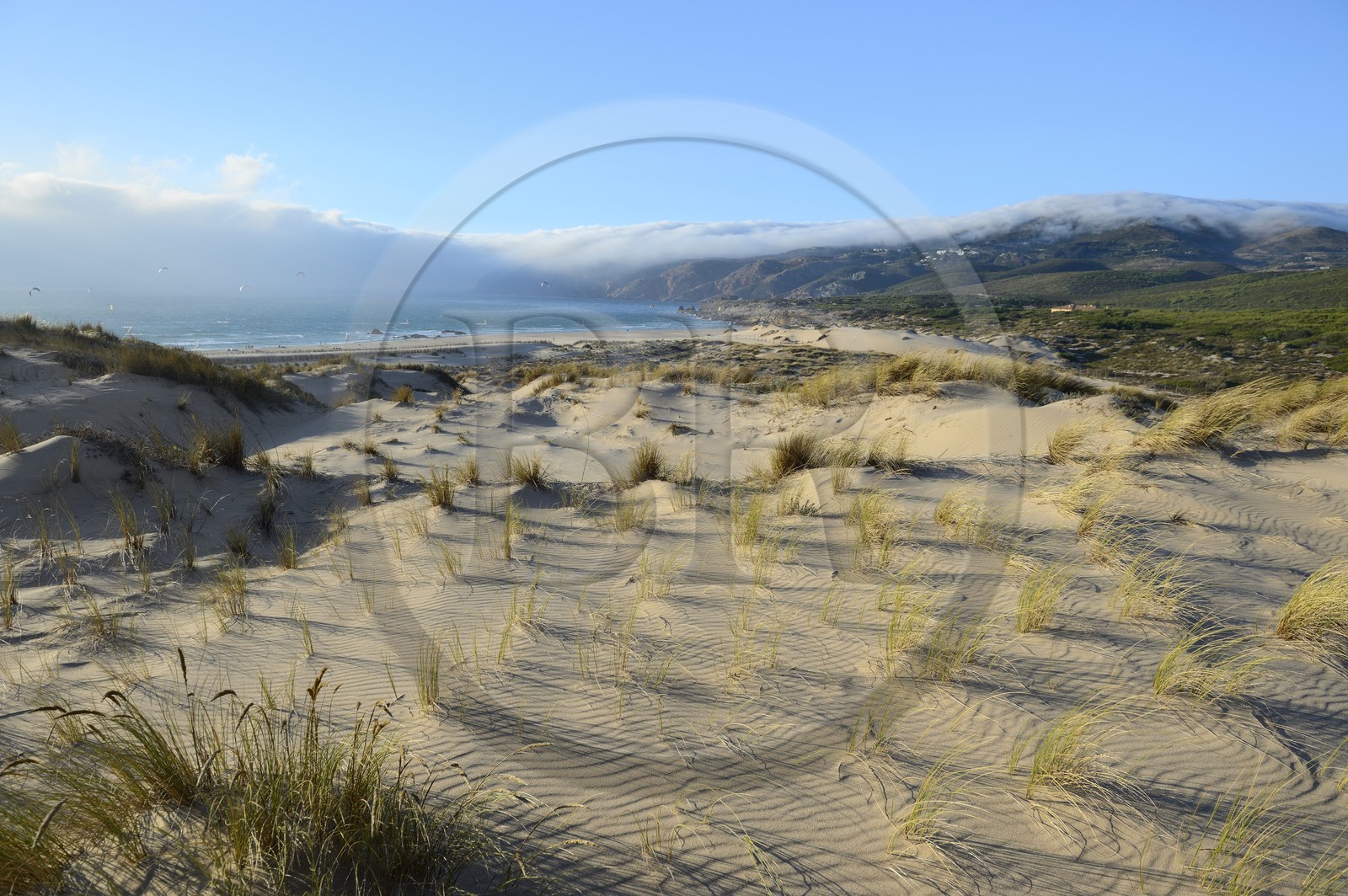 Portugal, région de Lisbonne, Cascais, plage de Guincho sur la côte d'Estoril