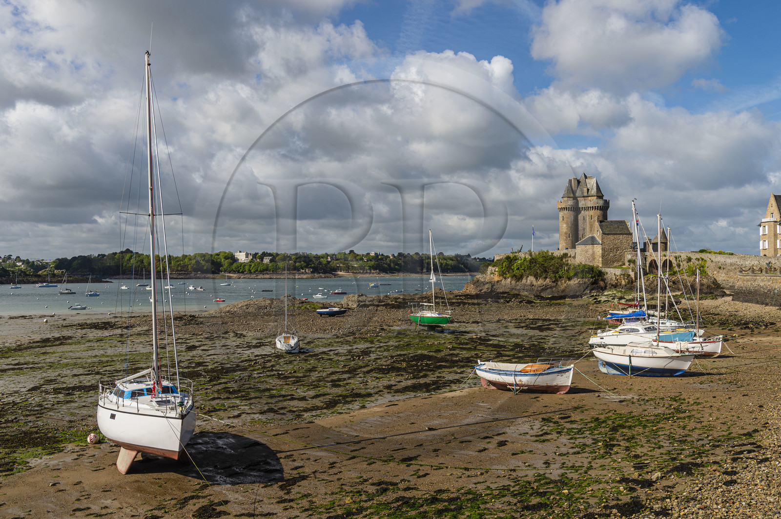 France, Ille-et-Vilaine (35), Côte d'Emeraude, Saint-Malo, quartier Saint-Servan, le port et la Tour Solidor construite en 1382, musée international du Long-Cours Cap-Hornier
