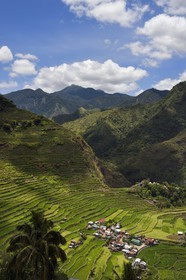Philippines, province d'Ifugao, les rizières en terrasses de Banaue autour du village de Batad, classées Patrimoine Mondial de l'UNESCO, alimentées par un ancien système d'irrigation depuis la forêt tropicale au-dessus des terrasses