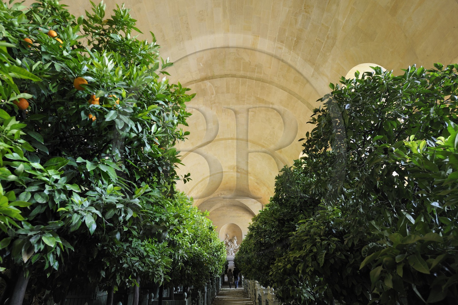 France, Yvelines, Chateau de Versailles, listed as World Heritage by UNESCO, Orangery by Jules Hardouin Mansart in Winter