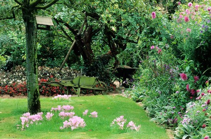 France, Eure, Giverny, Claude Monet's garden