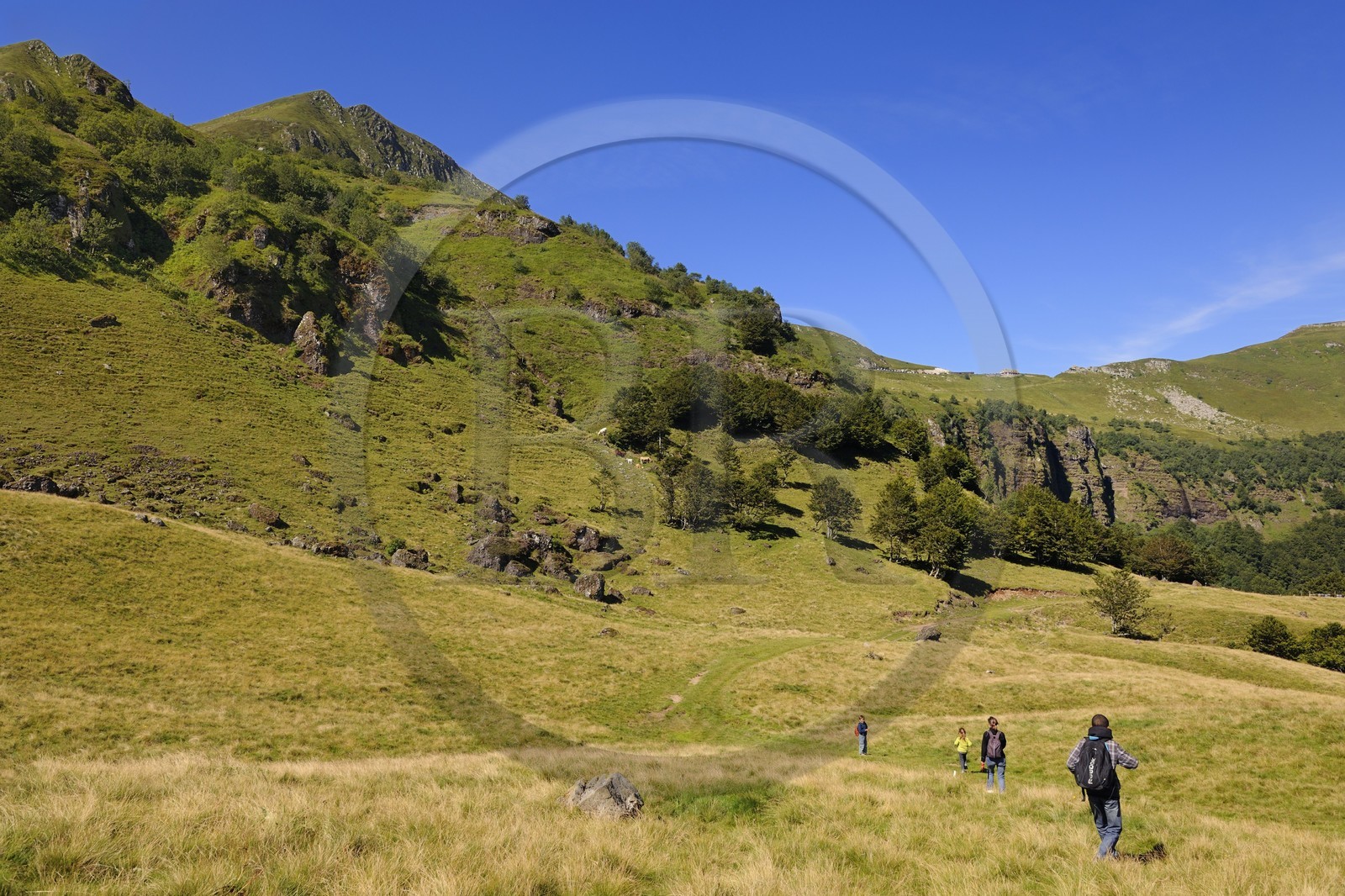 France, Cantal (15), monts du Cantal, Parc Naturel Régional des Volcans d' Auvergne, randonnée au pied de la montagne du Puy-Mary (1783m)