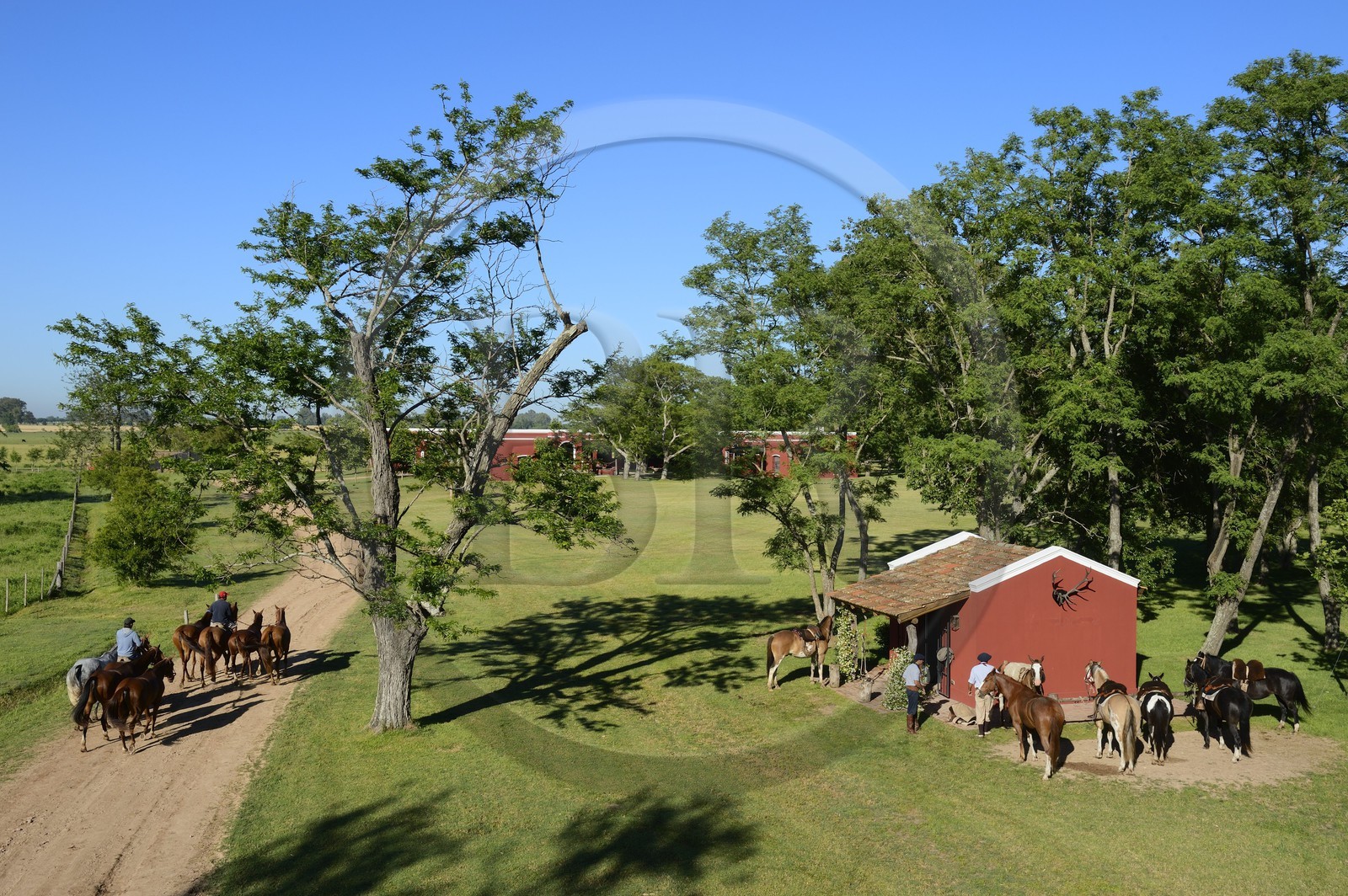 Argentine, province de Buenos Aires, San Antonio de Areco, estancia La Bamba de Areco, retour à l'étable des chevaux utilisés pour le polo et gauchos se préparant au départ à droite
