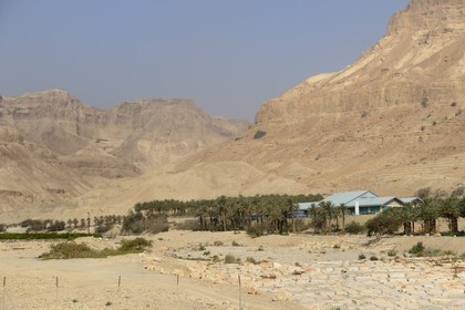 Israel, Cisjordanie, Kibboutz en bordure de la mer Morte