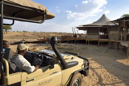 Zimbabwe, province de Matabeleland septentrional, parc national Hwange, Somalisa Camp de African Bush Camps