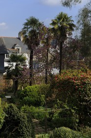 France, Finistère (29), Quimper, le jardin de la barraque à Jacquelot rue Elie Fréron