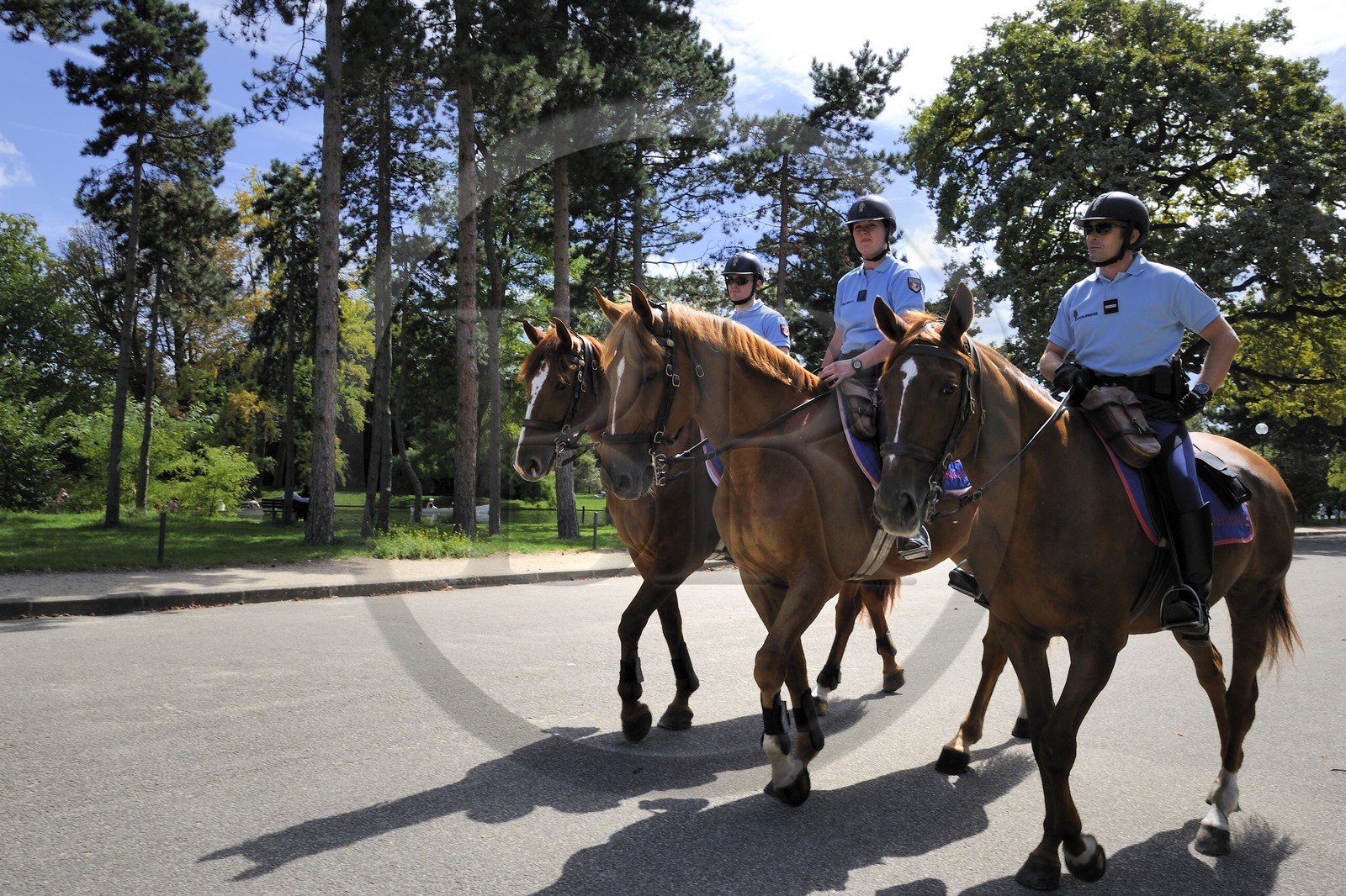 France, Paris (75), Gardes républicains à cheval patrouillant dans le Bois de Boulogne