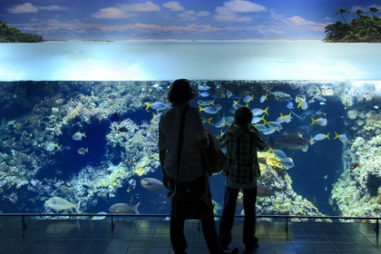 Principauté de Monaco, Monaco, le musée océanographique, aquarium du Lagon au Requins