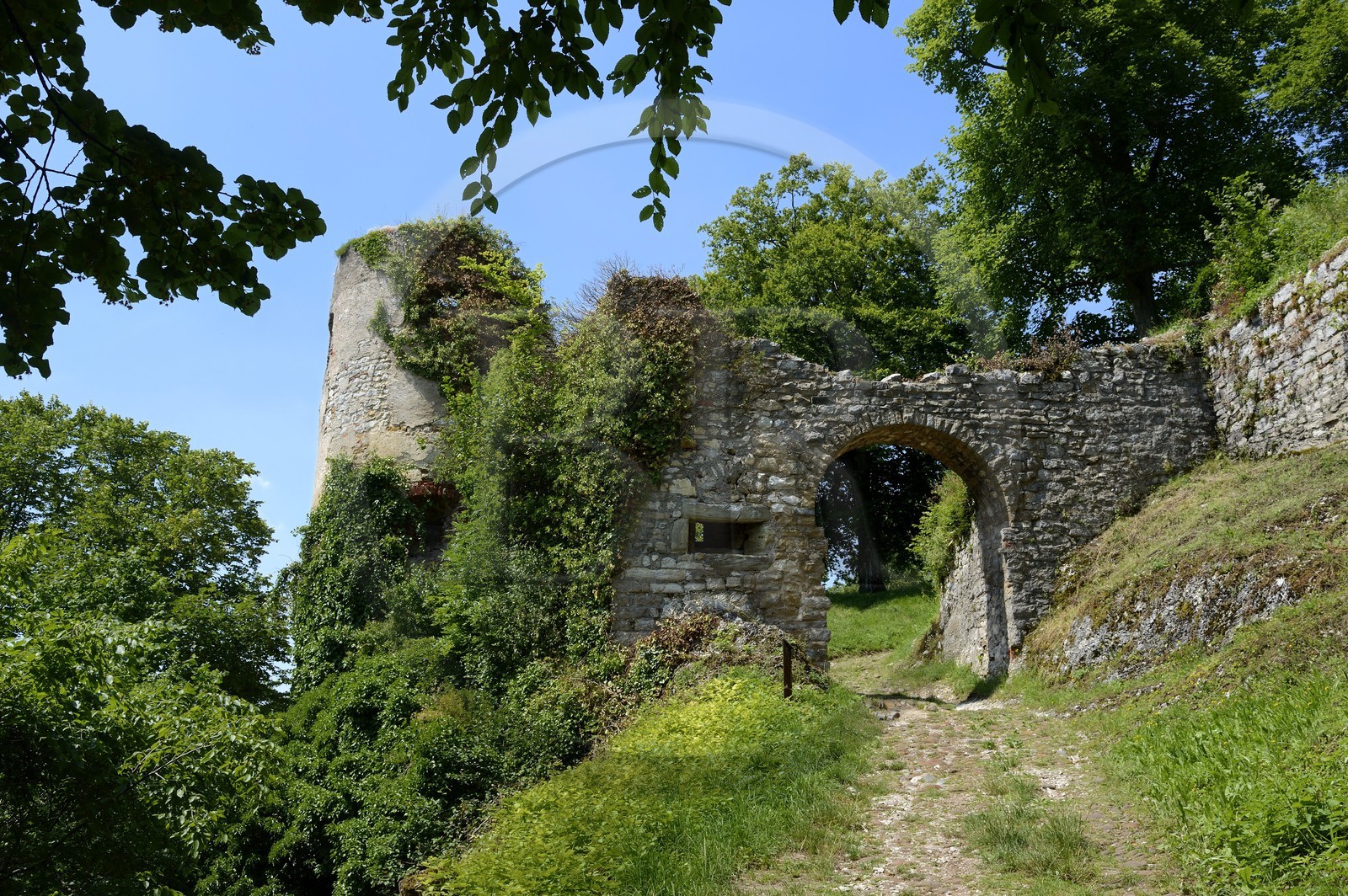 France, Haut-Rhin (68), Sundgau, Ferrette, ruine du chateau