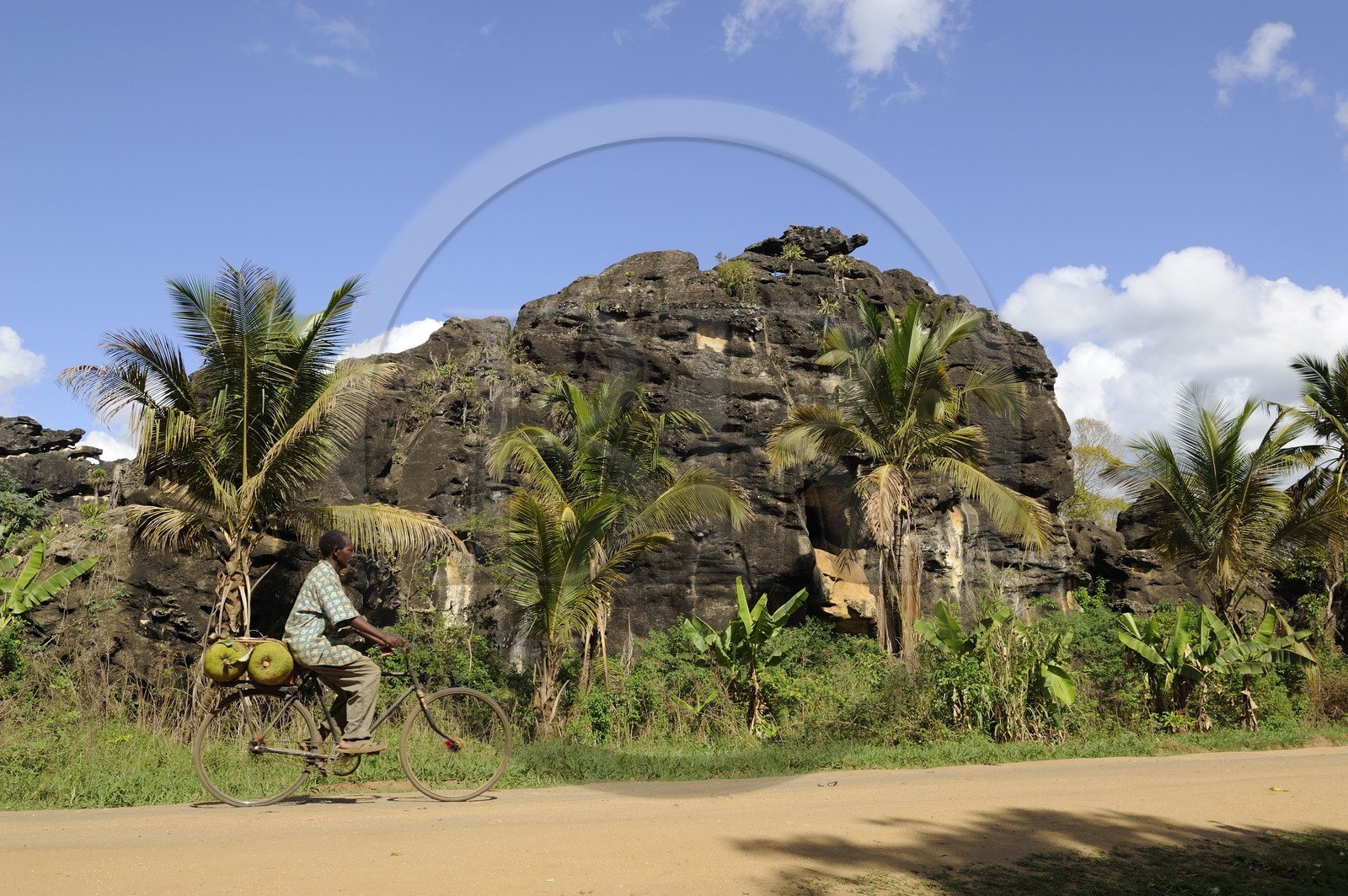 Tanzanie, région de Morogoro, les Monts Uluguru, cycliste transportant des fruits du jacquier sur la piste de Matombo