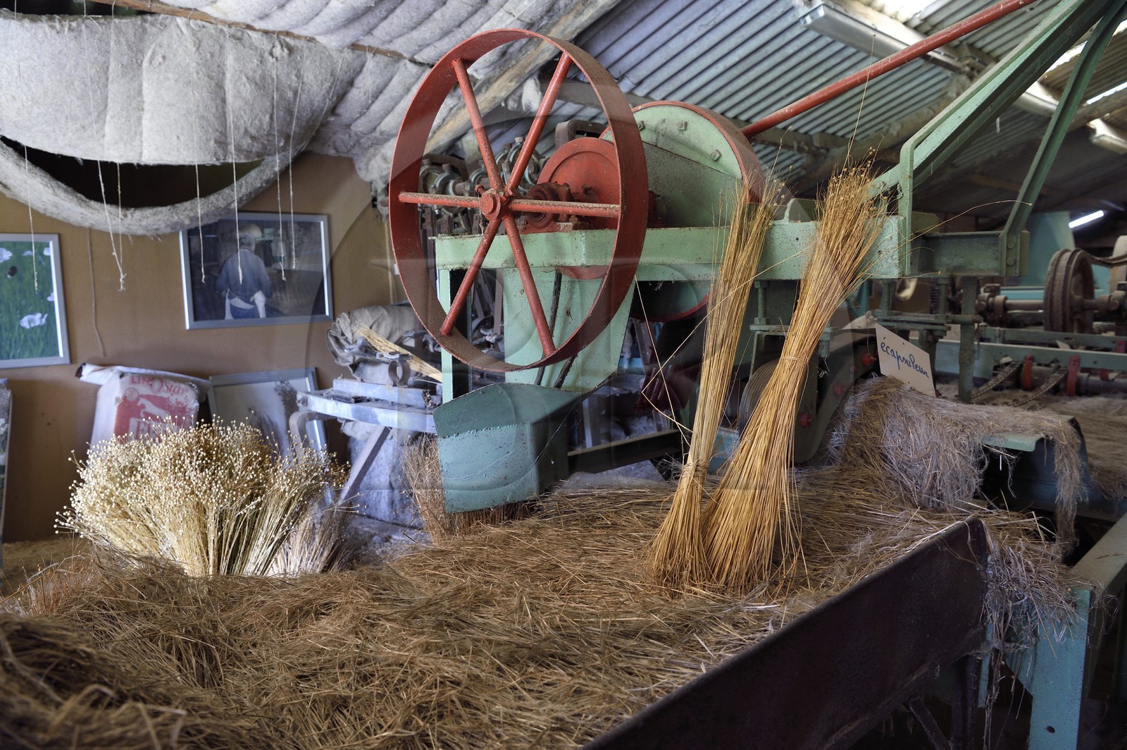 France, Seine-Maritime (76), Pays de Caux, Amfreville-les-Champs, la ferme Au Fil des Saisons et écomusée du lin, ancien teillage