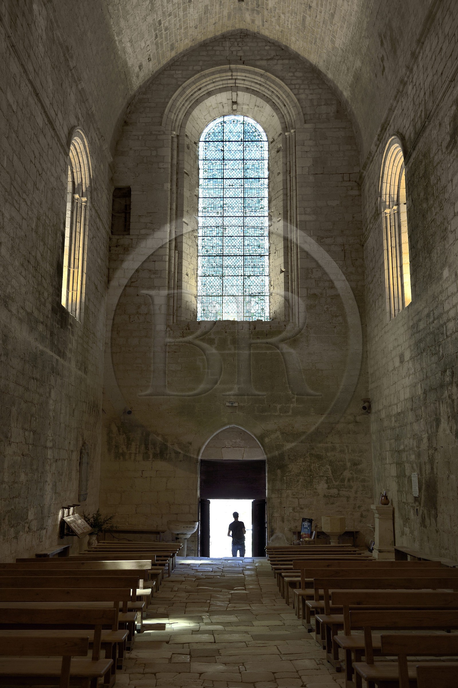 France, Dordogne (24), Périgord Noir, Saint-Amand-de-Coly, labellisé Les Plus Beaux Villages de France, l'abbaye de Saint-Amand-de-Coly, nef de l'église abbatiale