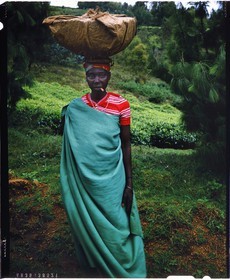 Burundi, province de Bujumbura, région d'Ijenda, femme Tutsi se rendant au marché, les femmes portent les charges sur la tête comme dans la plupart des pays africains (reproduction plan-film inversible 4x5)
