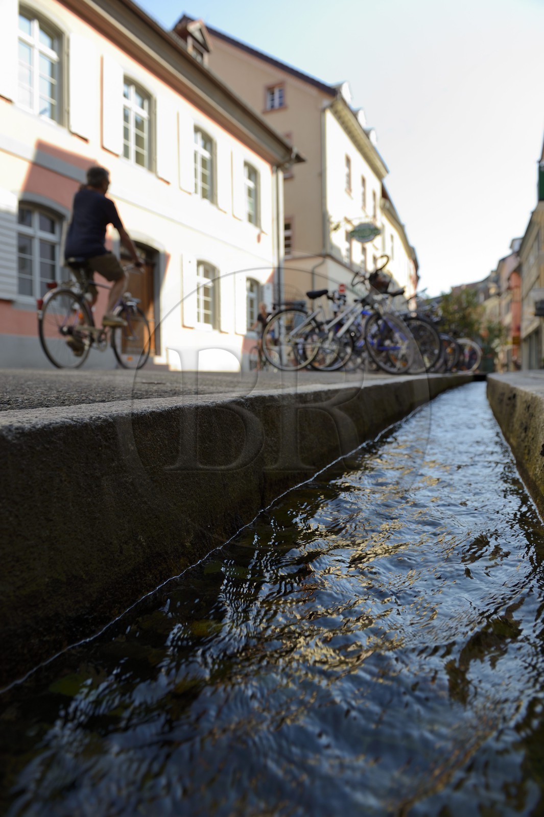 Allemagne, Bade-Wurtemberg, Fribourg en Brisgau, un des Bächle qui sont des petits caniveaux ouverts qui bordent les trottoirs de la vieille ville