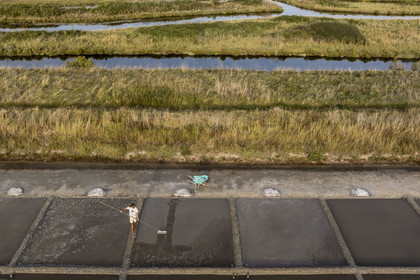 France, Charente-Maritime (17), Ile d'Oléron, Saint-Georges-d'Oléron, cueillette artisanale de la fleur de sel avec une lousse à fleur par le saunier Samuel Barbereau (vue aérienne)