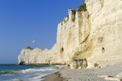 France, Seine-Maritime (76), Pays de Caux, Côte d'Albâtre, Etretat, la falaise d'Amont