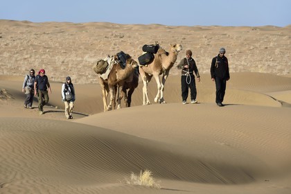Iran, Province d'Ispahan, désert du Dasht-e Kavir, Mesr dans la région de Khur et Biabanak, caravane de dromadaires dans les dunes du lieu dit de Kuh e-Sefid lors d'une randonnée chamelière