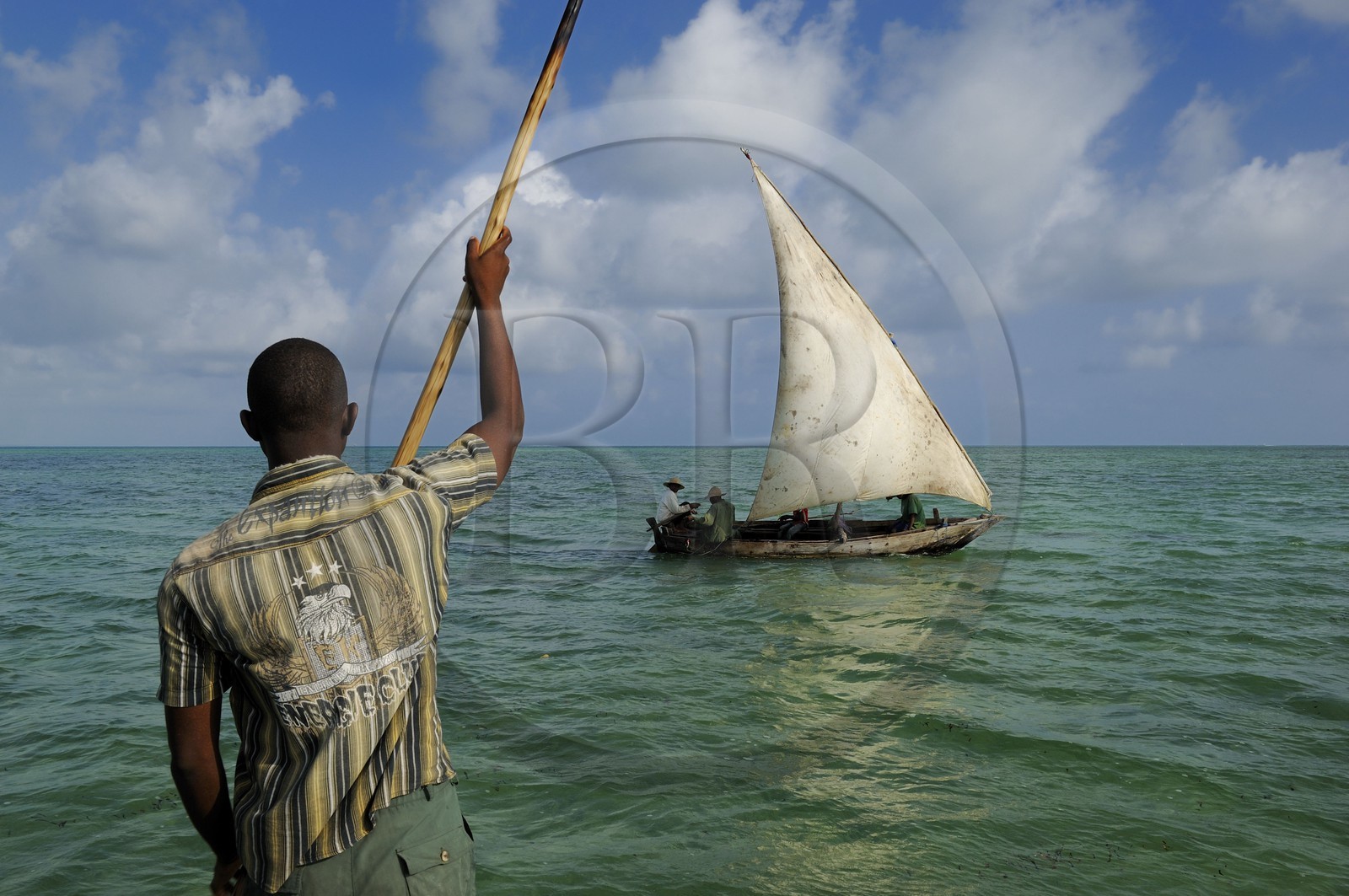 Tanzanie, archipel de Zanzibar, île de Unguja (Zanzibar), côte est, baie de Chwaka vers Michamvi, un dhow (boutre traditionnel)