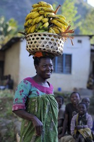 Tanzanie, région de Morogoro, les Monts Uluguru, aux alentours de l'ancien refuge allemand de Morningside, femme portant un panier de bananes sur sa tête