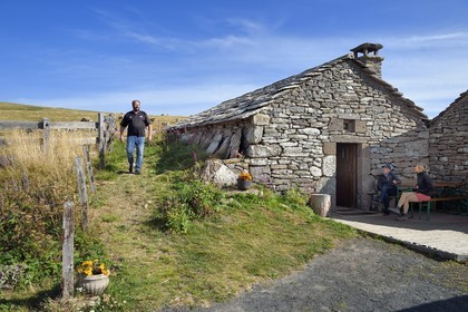 France, Cantal, Parc Naturel Régional des Volcans d'Auvergne (regional nature park of Auvergne volcanoes), Brezons valley, mountain pastures, Buron de la Combe de la Saure directed by Denis Deconquand, a mountain restaurant in Lauze stone in a former sheepfold
