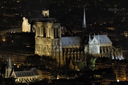 France, Paris (75), Ile de la Cité, cathédrale Notre-Dame de Paris de nuit