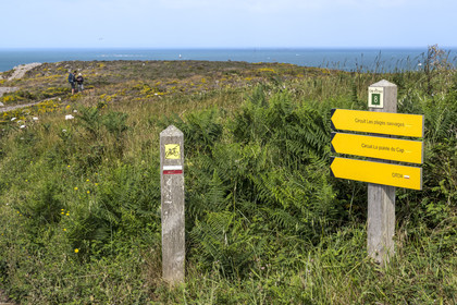 France, Cotes d'Armor, Grand Site de France Cap d'Erquy - Cap Frehel, Erquy, the GR34 hiking trail or coastal trail at Pointe du Cap d'Erquy (aerial view)