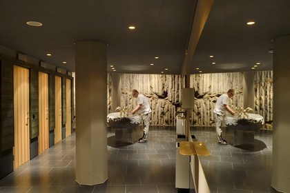 Sweden, Stockholm archipelago, Gustavsberg, the art hall Artipelag, toilet with rock walls