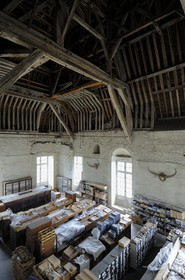 France, Loir et Cher, Loire Valley listed as World Heritage by UNESCO, Chateau de Blois, reserves of natural history museum in the attic of Gaston d'Orleans wing
