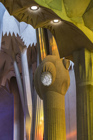Spain, Catalonia, Barcelona, Eixample district, Sagrada Familia basilica by Catalan modernist architect Antoni Gaudi, listed as a UNESCO World Heritage Site, above the node, the columns of the central vessel (nave) are subdivided into branches like a tree, illuminated by the warm projections of the stained glass windows on the Passion facade