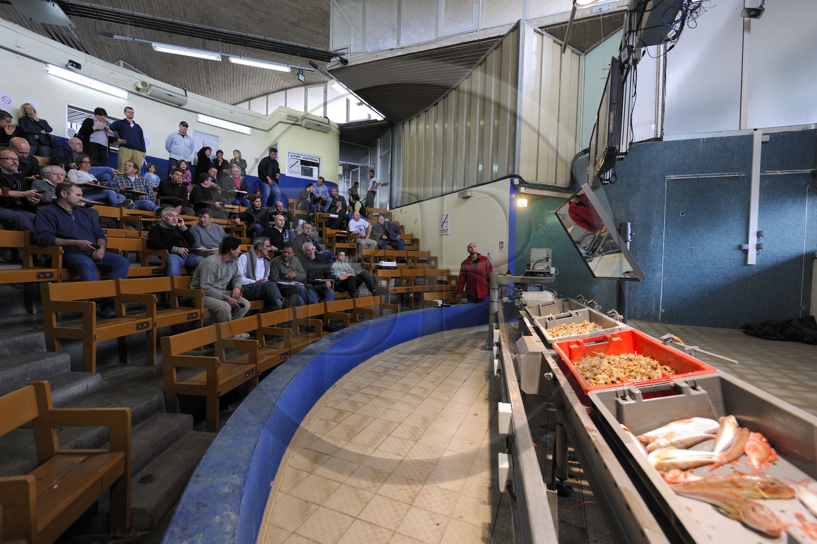 France, Hérault (34), Sète, la Criée Aux Poissons, première criée informatisée de France