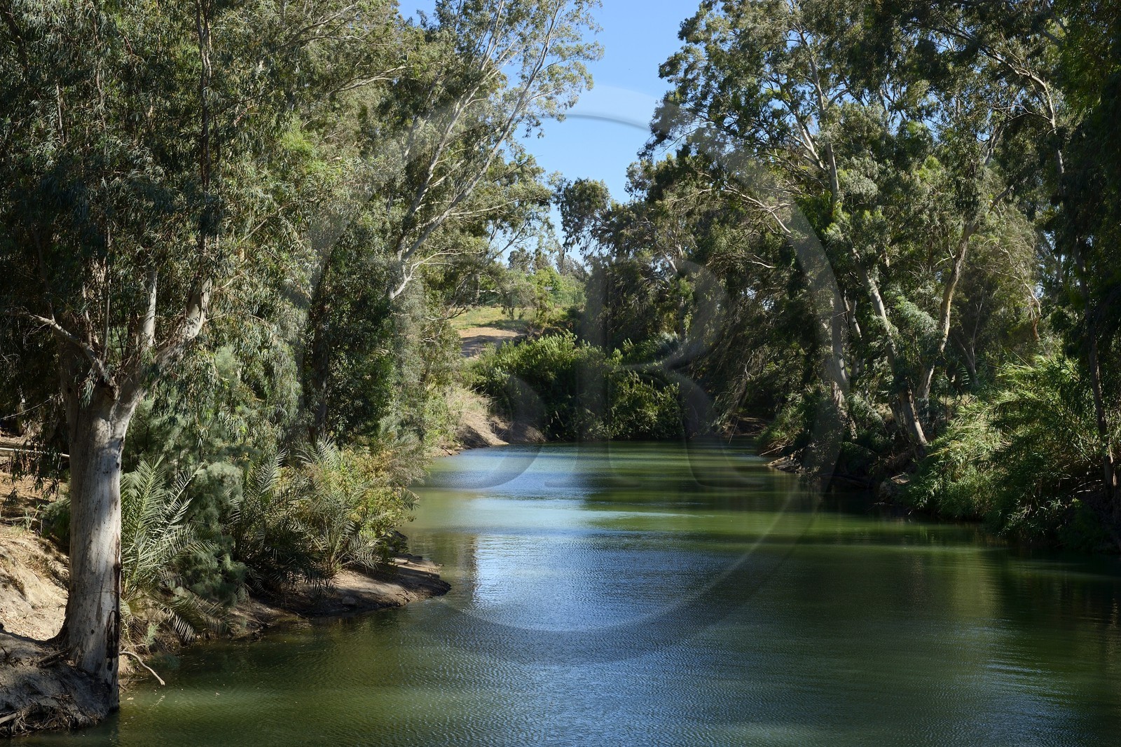 Israel, district Nord, Galilée, le Jourdain à sa sortie du Lac de Tibériade