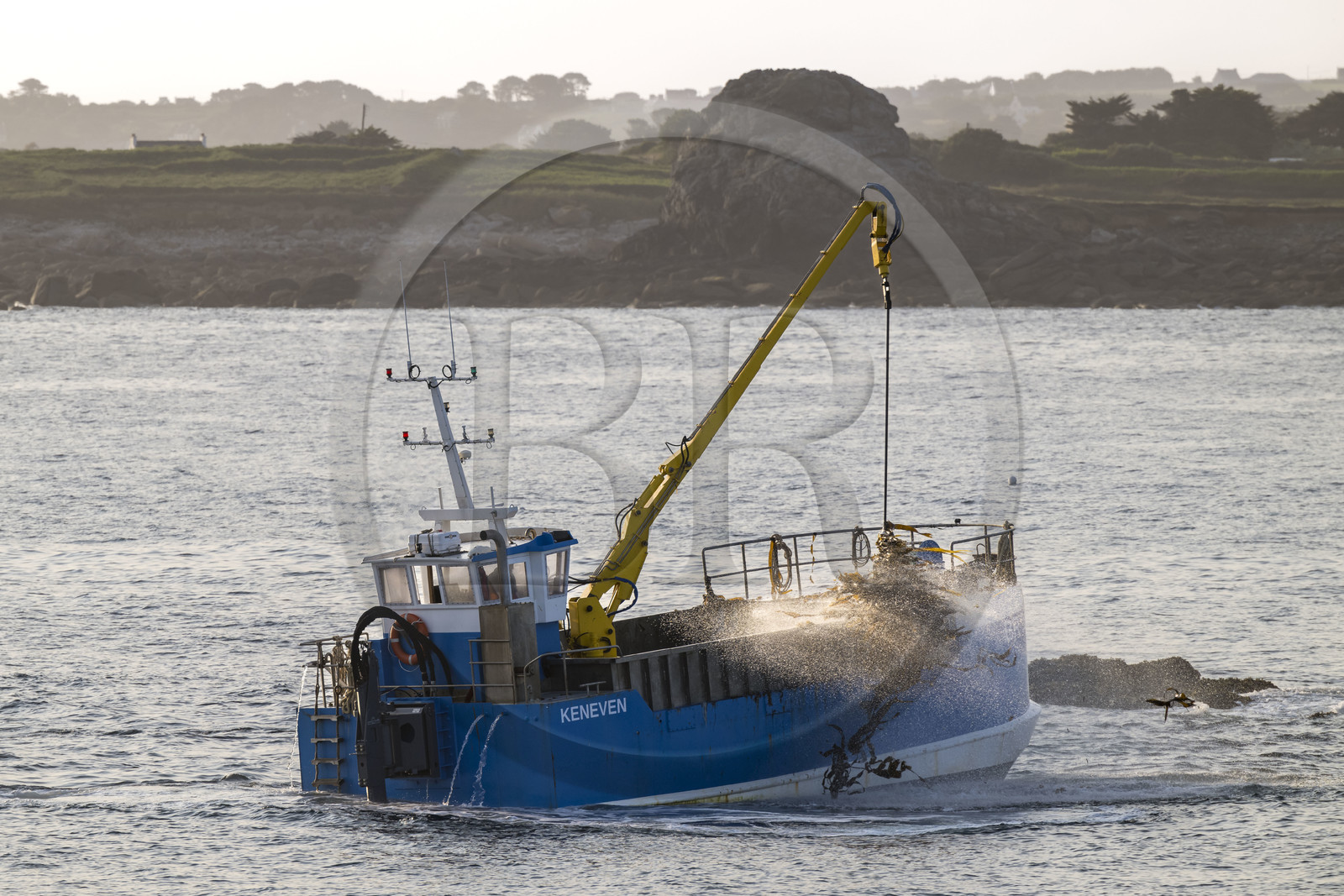France, Finistère (29), Pays des Abers, Ile Vierge dans l'archipel de Lilia, bateau goémonier utilisant un de ses deux bras mécaniques articulés se terminant par un scoubidou pour récolter des algues marines le goémon