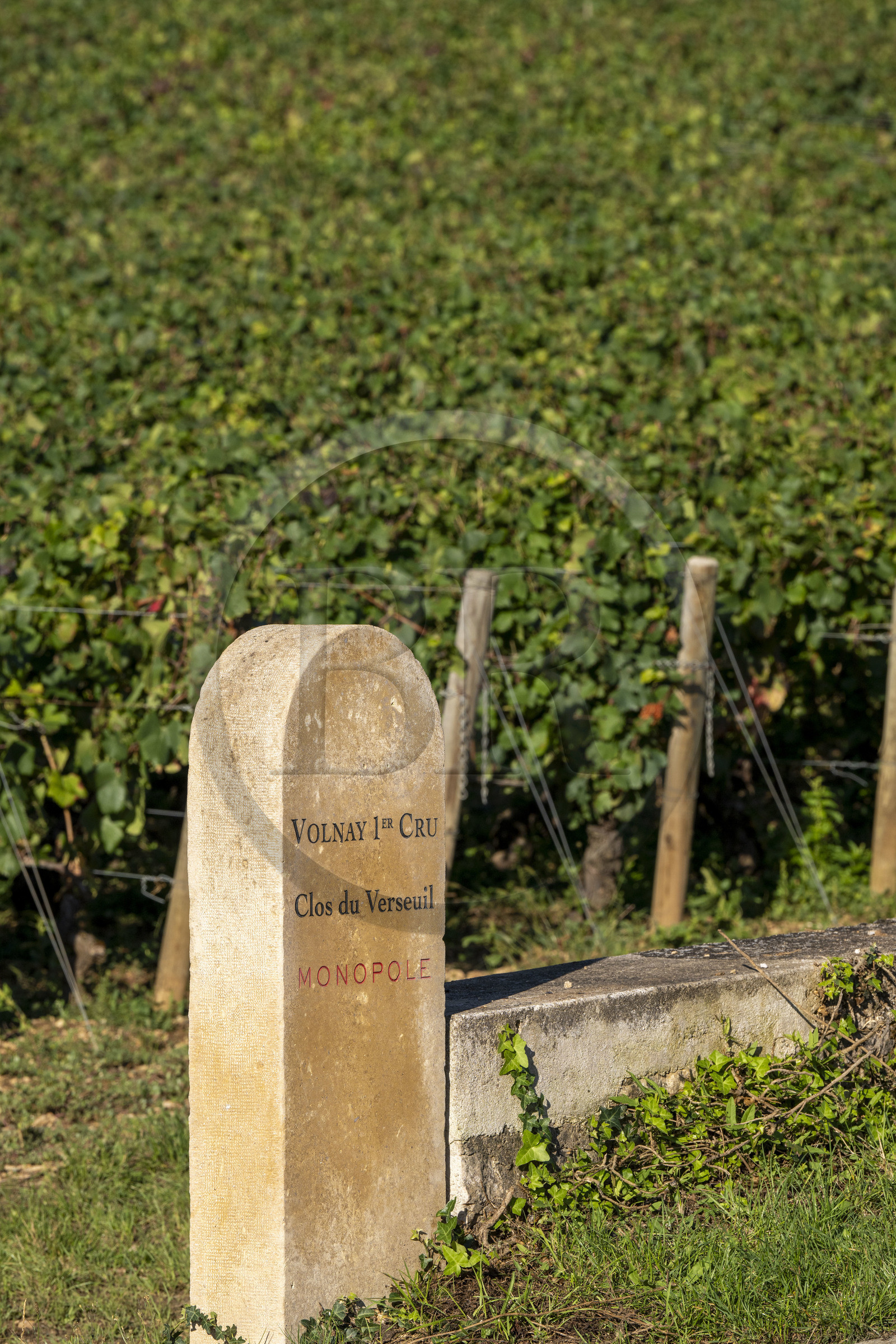 France, Côte-d'Or (21), les climats de Bourgogne classés Patrimoine Mondial de l'UNESCO, Route des Grands Crus, vignoble de la Côte de Beaune, Volnay, borne dans les vignes du domaine Clos du Verseuil Volnay 1er Cru