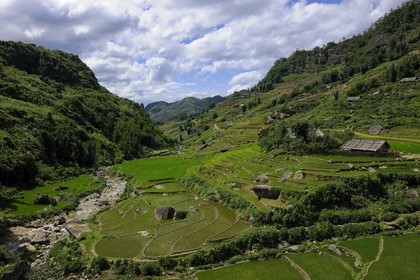Vietnam, province de Lao Cai, région de Sapa, culture de rizières en terrasses par la minorité Hmong Noir