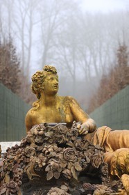 France, Yvelines, parc du Chateau de Versailles, listed as World Heritage by UNESCO, flora basin in winter also called the spring basin in Winter