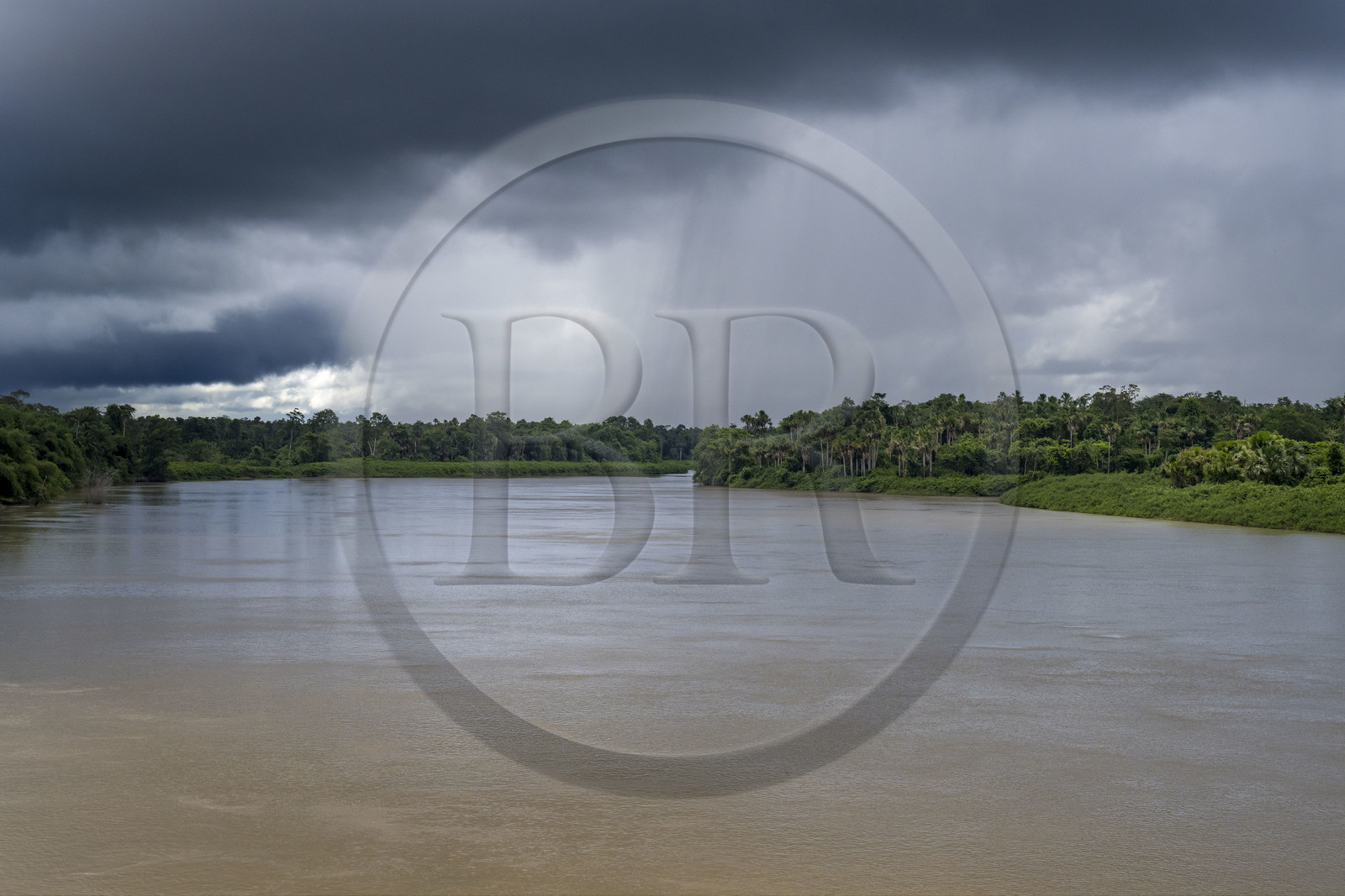 France, Guyane, Mana , les rives du fleuve Mana