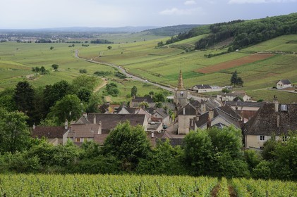 France, Côte d'Or (21), Pernand-Vergeles et la côte de Beaune
