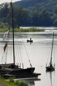 France, Indre et Loire, Loire Valley listed as World Heritage by UNESCO, edges of the Loire river in Brehemont